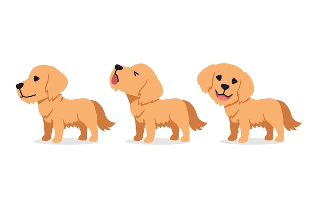 Vector set of vector cartoon character golden retriever dog