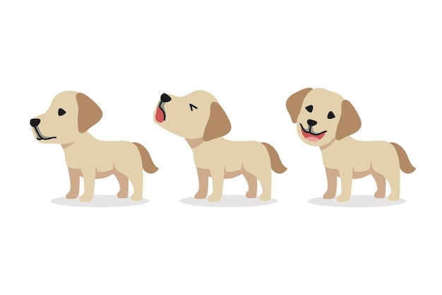 Vector set of vector cartoon character labrador retriever dog