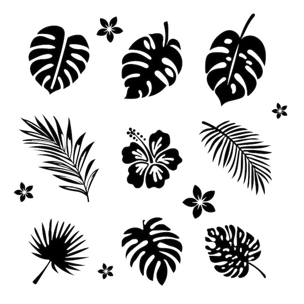 Vector set of vector clipart of the exotic leaves and flowers eps10