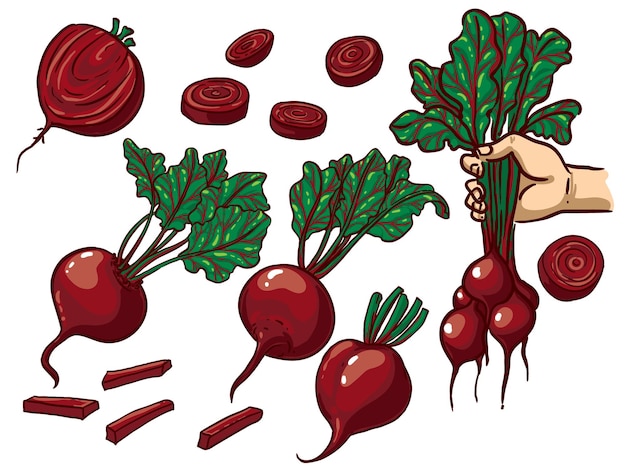 Set vector color beet set