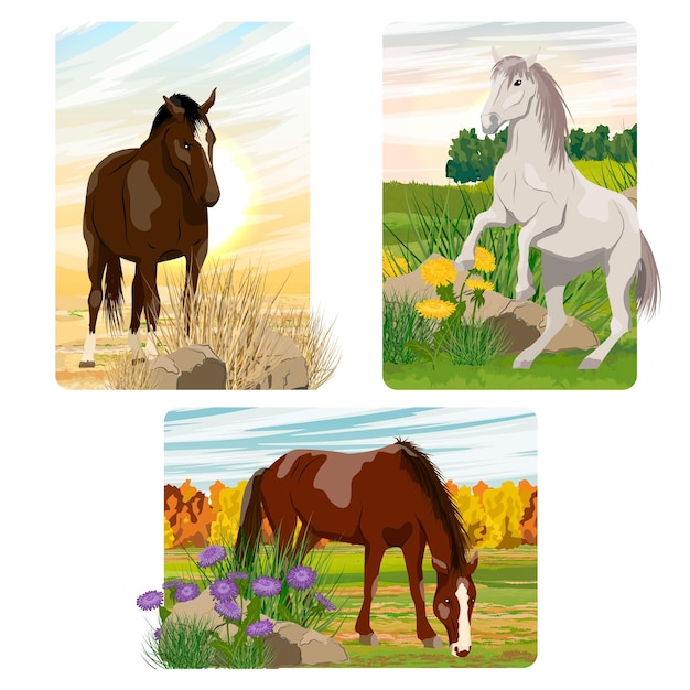 Una serie di composizioni vettoriali con cavalli realistici