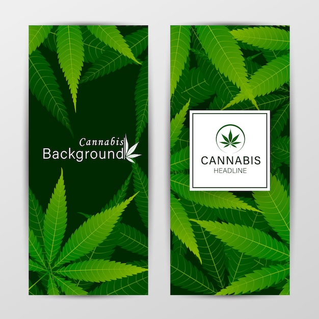 Set di modelli di copertina vettoriale con foglie di cannabis