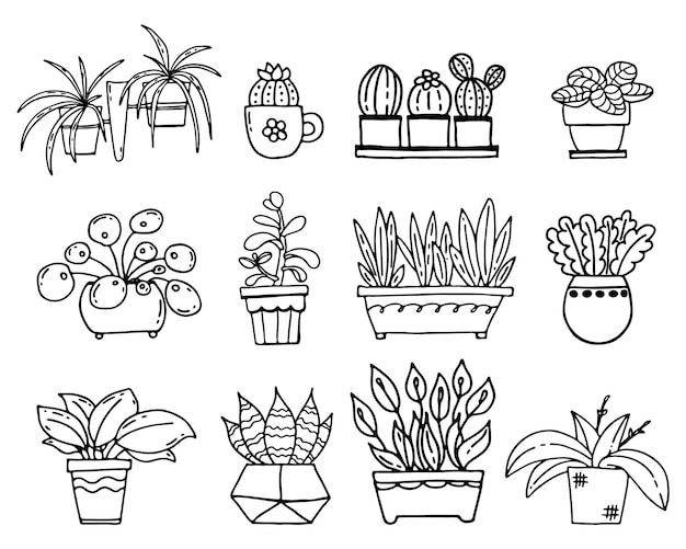 Set of vector doodle images of home flowers