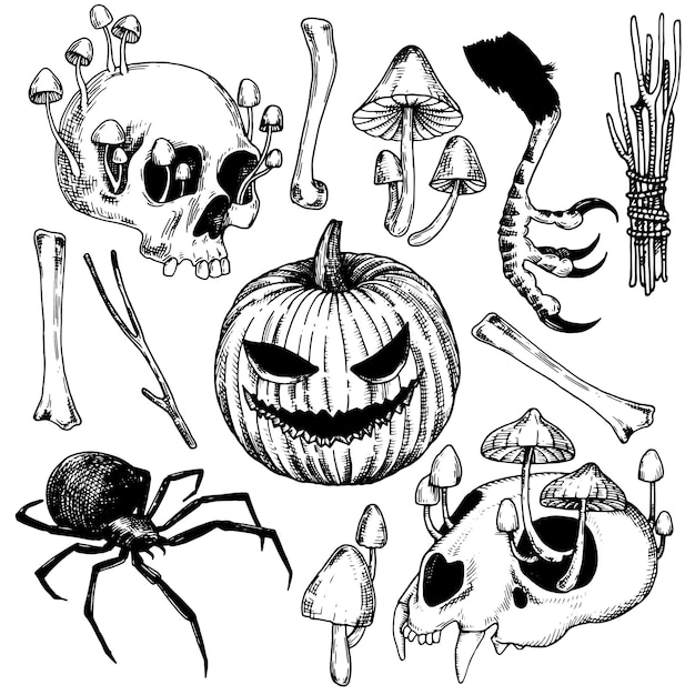 set of vector drawings on the theme of halloween. black and white graphic drawings in vintage style.