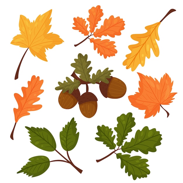 秋のスタイルのベクトル要素のセットです。葉、どんぐり。グリーティングカードのデザインに。ベクトル漫画のスタイル。