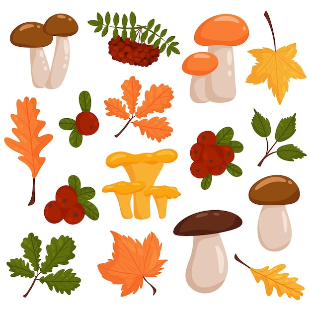 Vector set of vector elements of autumn. vector cartoon style.