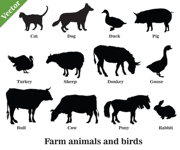 ベクトル家畜と鳥（犬、猫、牛、トルコ、ロバ、豚、ウサギ、ガチョウ、羊、アヒル、雄牛）のシルエットのセットは、白い背景で隔離の黒い色で