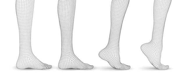 Set of vector female legs 3d illustration of lifting the leg