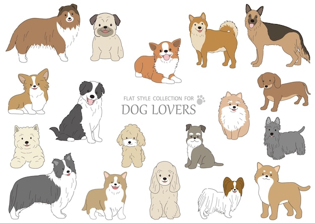 Vector set of vector flat style dogs isolated on a white background