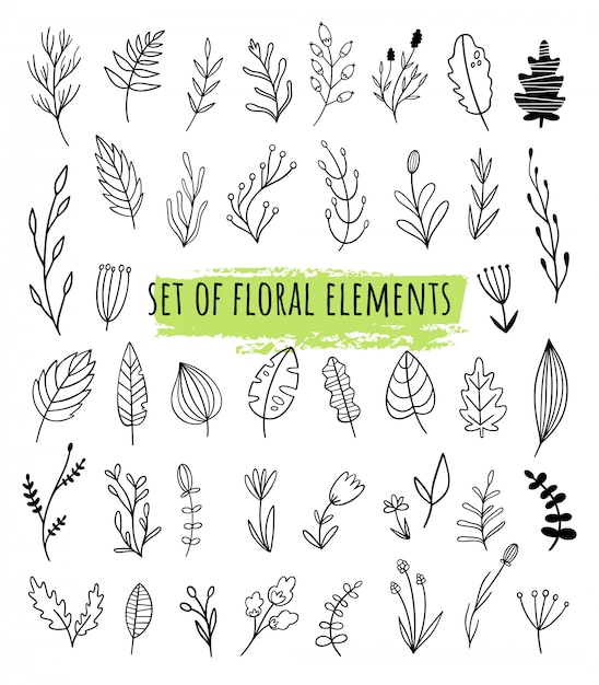 Vector set of vector floral elements in doodle, line styles. different plant species