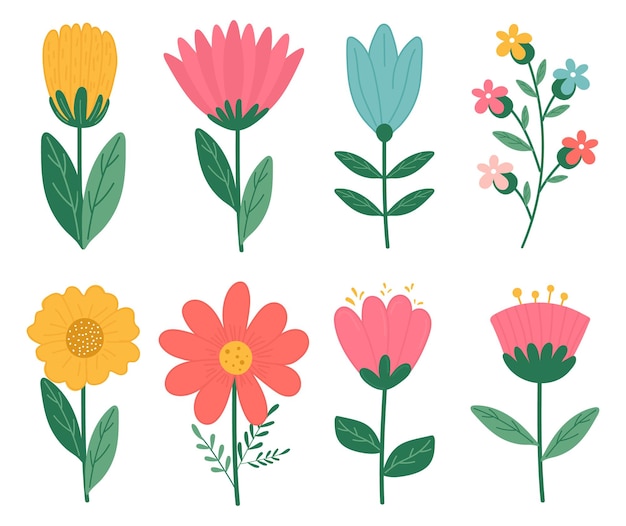 Set of vector flowers hand drawn in flat style Isolated on white background