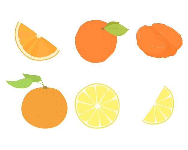 Set of vector fruits. Design of tangerine, orange, lemon, citrus slice