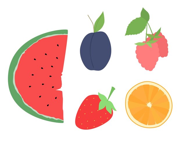 Set of vector fruits. Design of watermelon, plum, strawberry, raspberry, orange