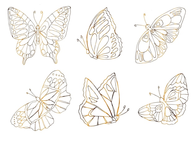 Vector set of vector golden silhouette butterfly