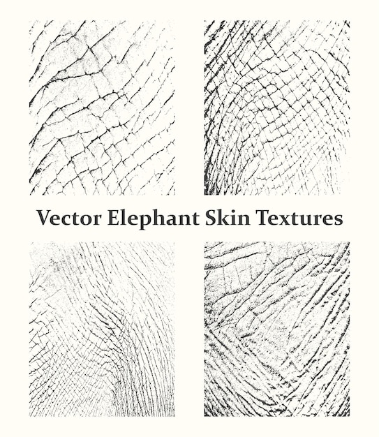 A set of vector grunge textures