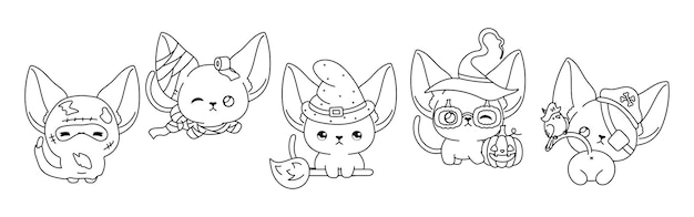 Vector set of vector halloween abyssinian cat coloring page collection of kawaii halloween cat outline