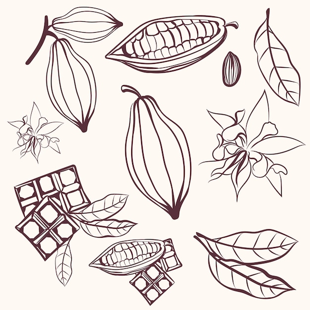 Vector set of vector hand drawn cacao fruits and chocolate sketch style