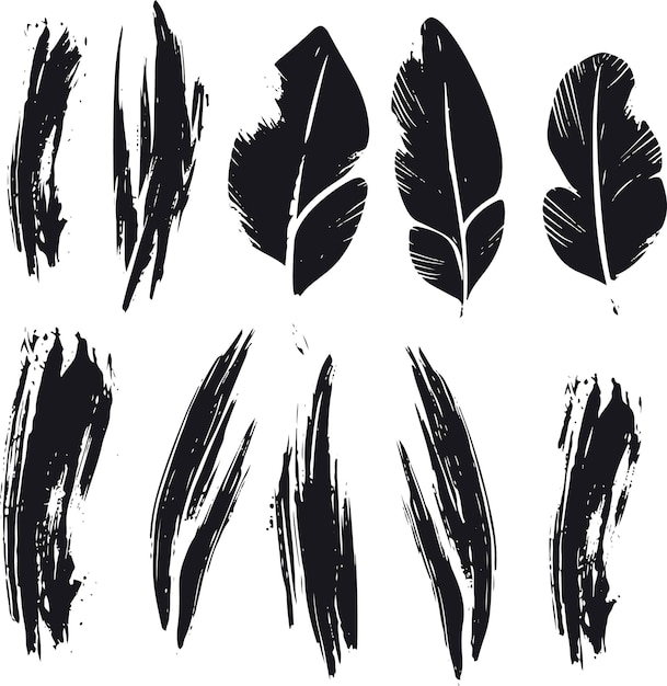 Vector set of vector hand drawn grunge style black feather signs