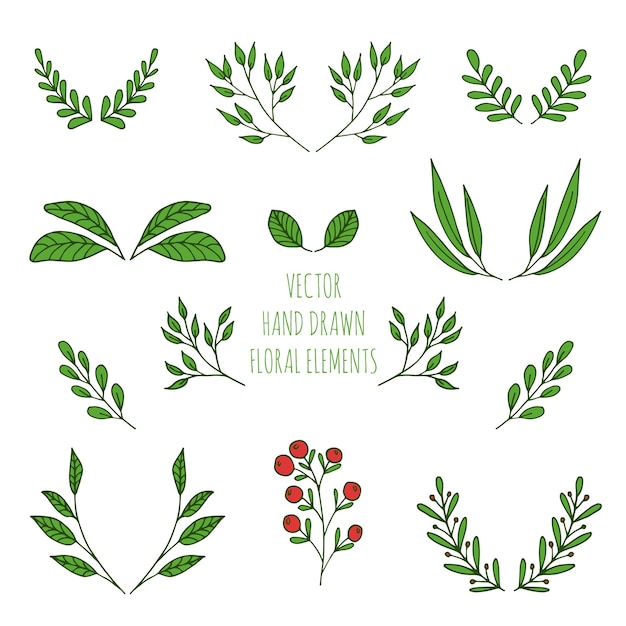 Set of vector hand drawn plants leaves floral elements