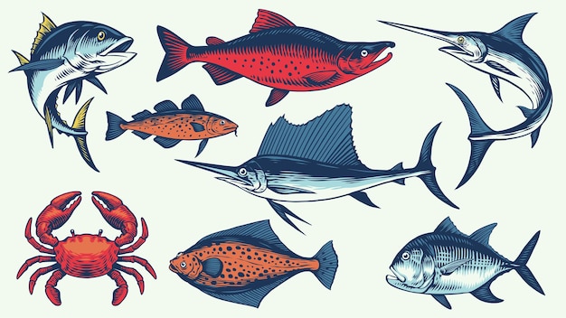 Vector set vector hand drawn vintage fish