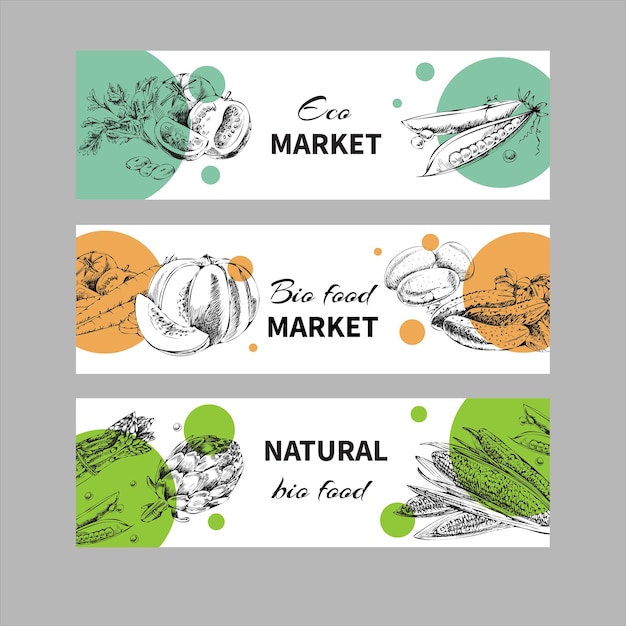 A set of vector handdrawn healthy food banners vintage style retro sketch