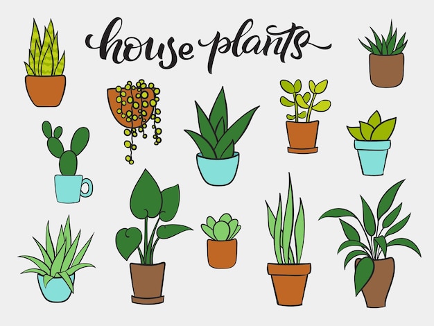 Set vector of houseplants in pots. Hand drawn cartoon collection of house plants. Lettering house plants. Vector illustration