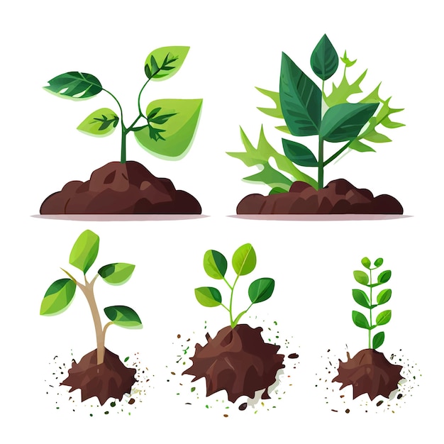 Set vector illustration of plant growing on soil in hands isolate