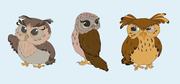 Vector a set of vector illustrations of cute owls