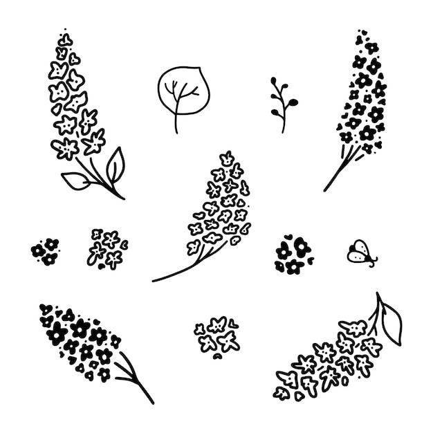 Set of vector images of lilac. Bunches of light and dark color, individual flowers.