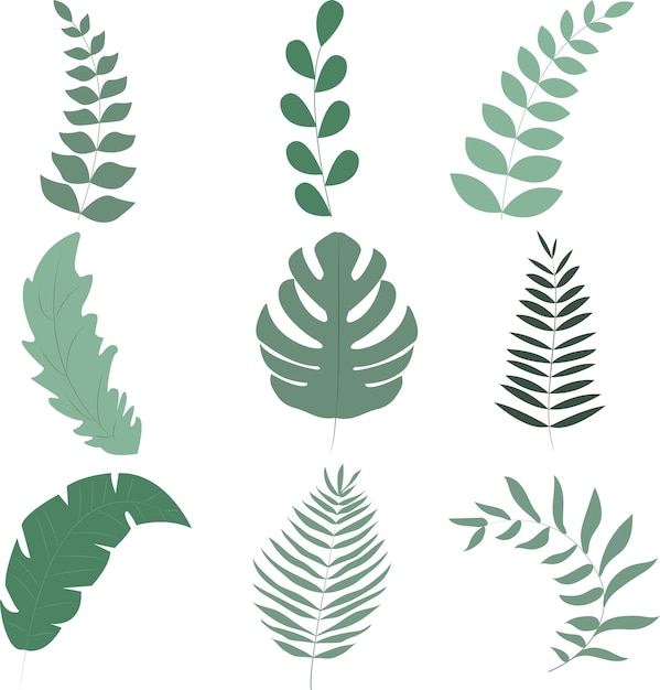 Set of vector leaves for design