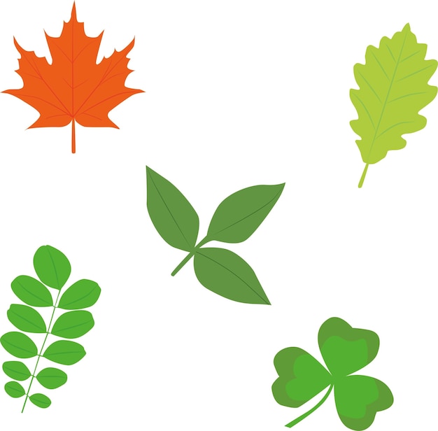 set of vector leaves