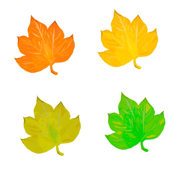 Set of vector maple leaves