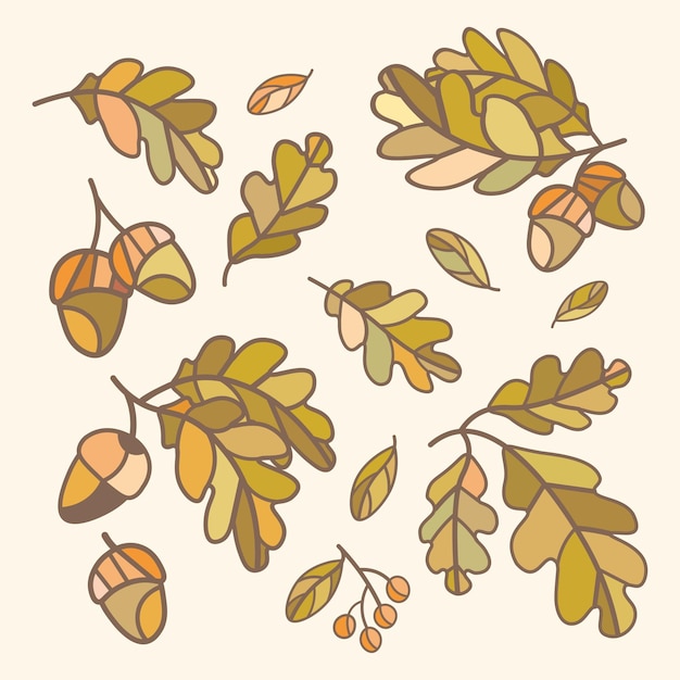 Vector set of vector oak leaves with acorns