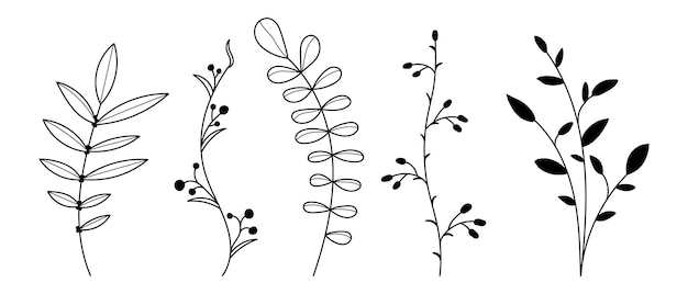 벡터 식물과 허브의 집합 손으로 그린 꽃 요소 계절 배경 벡터 일러스트 레이 션에 대 한 자연 요소의 실루엣