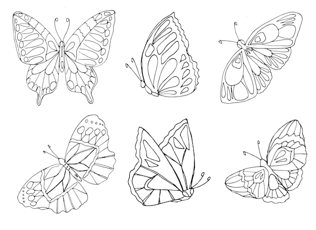 Vector set of vector silhouette butterfly coloring page