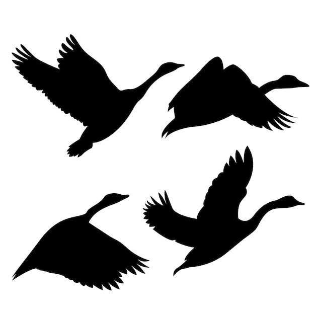 Set of vector silhouette flying birds isolated on white background