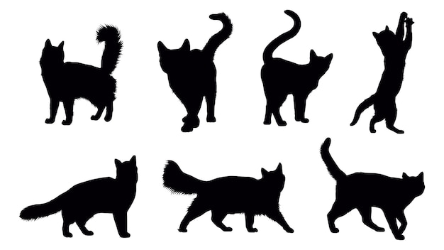 set of vector silhouettes of black cats with different styles and moves