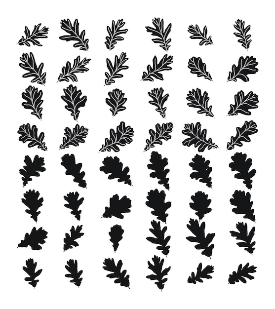 Set di sagome vettoriali di una forma nera di foglie di quercia
