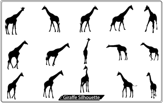 Набор векторных силуэтов жирафов