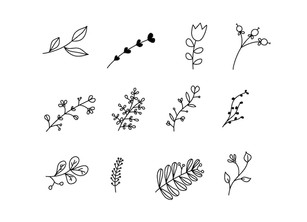 Set of vector sketches and line doodles logo Hand drawn design elements isolated flowers, leaves