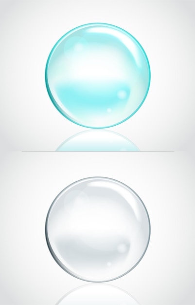 Set of vector soap water bubbles transparent isolated realistic design elements can be used with any background