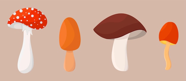 Set di funghi stilizzati vettoriali. illustrazione vettoriale in stile piatto