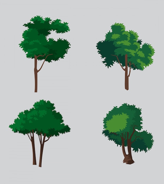 Set of vector trees illustration