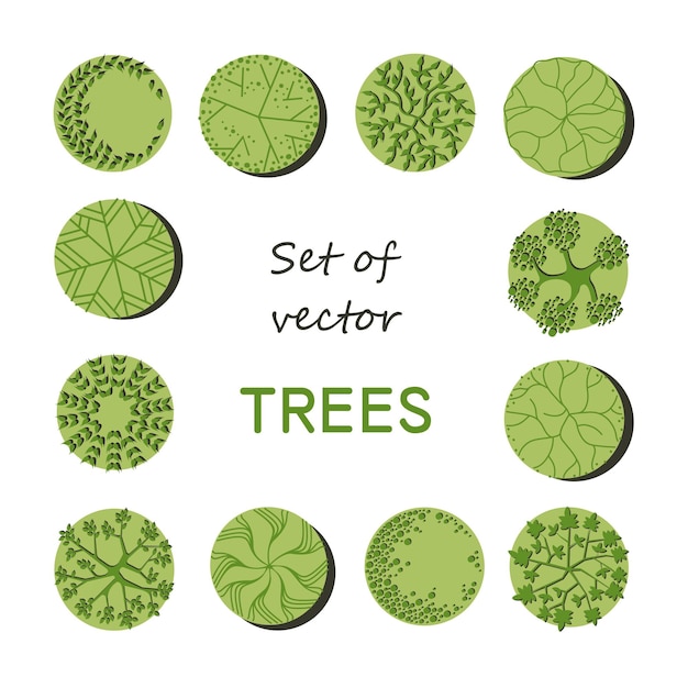 Set of vector trees