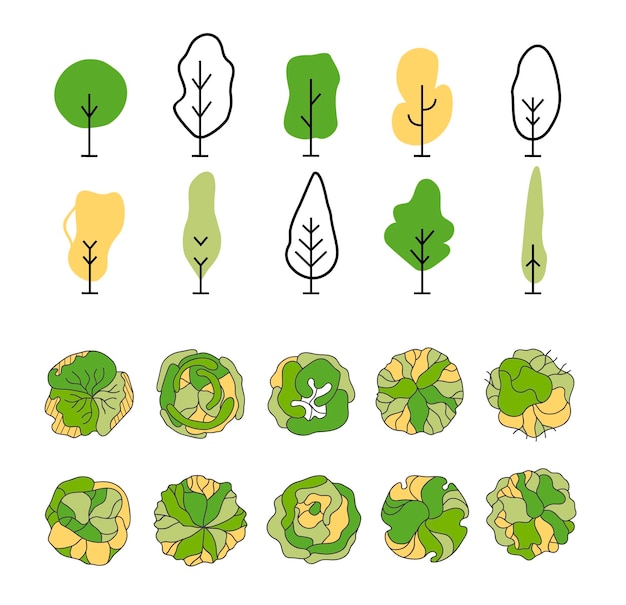 Set of vector trees