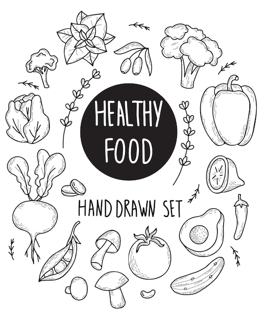 Set of vector vegetables and fruits root vegetables mushrooms legumes in linear hand drawn doodle