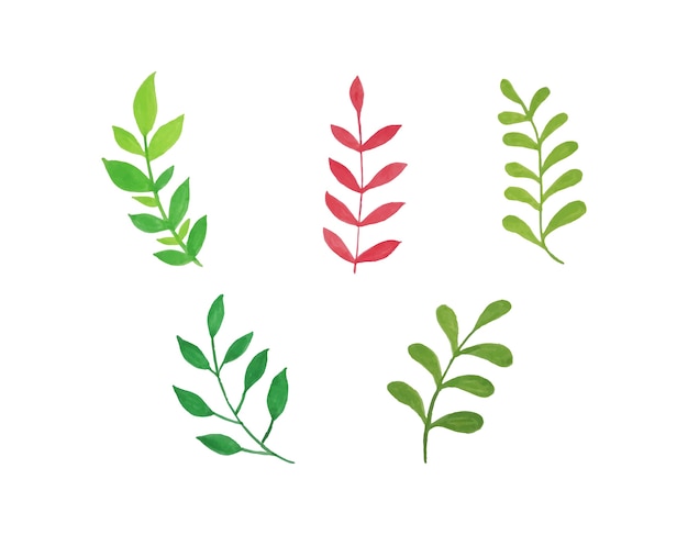  set of vector watercolor leaves