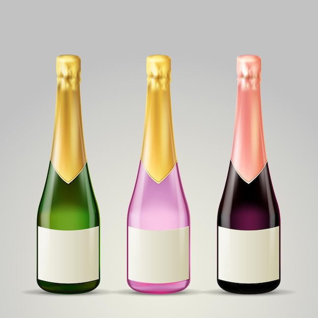 Vettore set di bottiglie di vino vettoriali di diversi colori