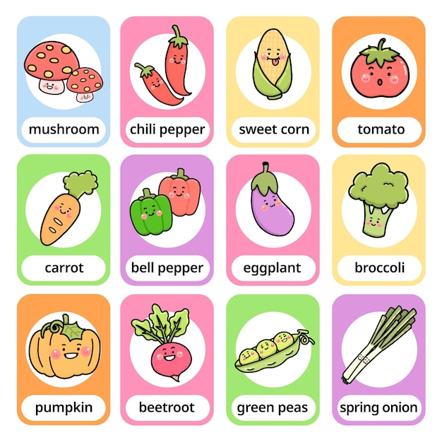 Impostare il personaggio dei cartoni animati vegetale vocabolario inglese carta veloce per bambini, illustrazione piatta vettore desi