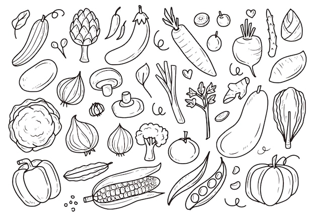 Set of vegetable doodle drawing illustration